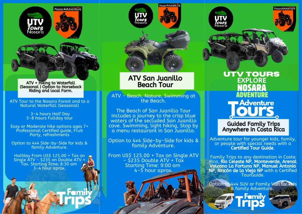 Brochure for web 1.webp