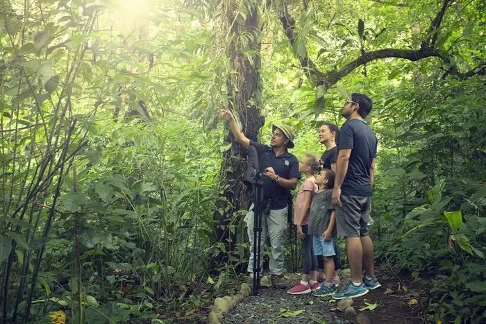 Hiking Nosara Web Sm.webp