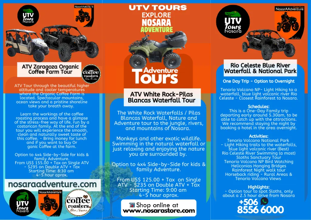 Brochure for web 2.webp