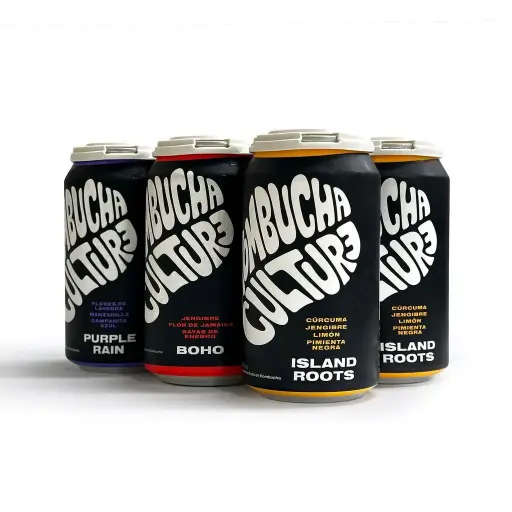 Kombucha Culture - with Alcohol - 6pack Variery Pack - 17000