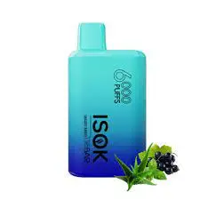 ISOK Vape Puff Grapey - 10000